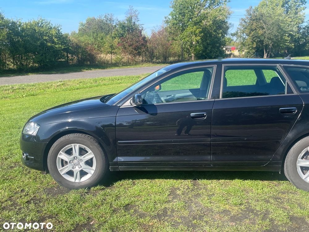 Audi A3 1.6 TDI DPF Ambiente - 8