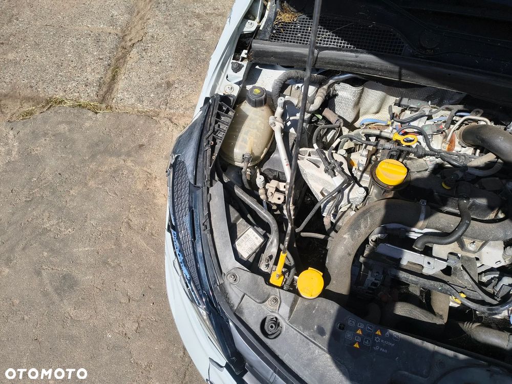 Renault Clio - 13