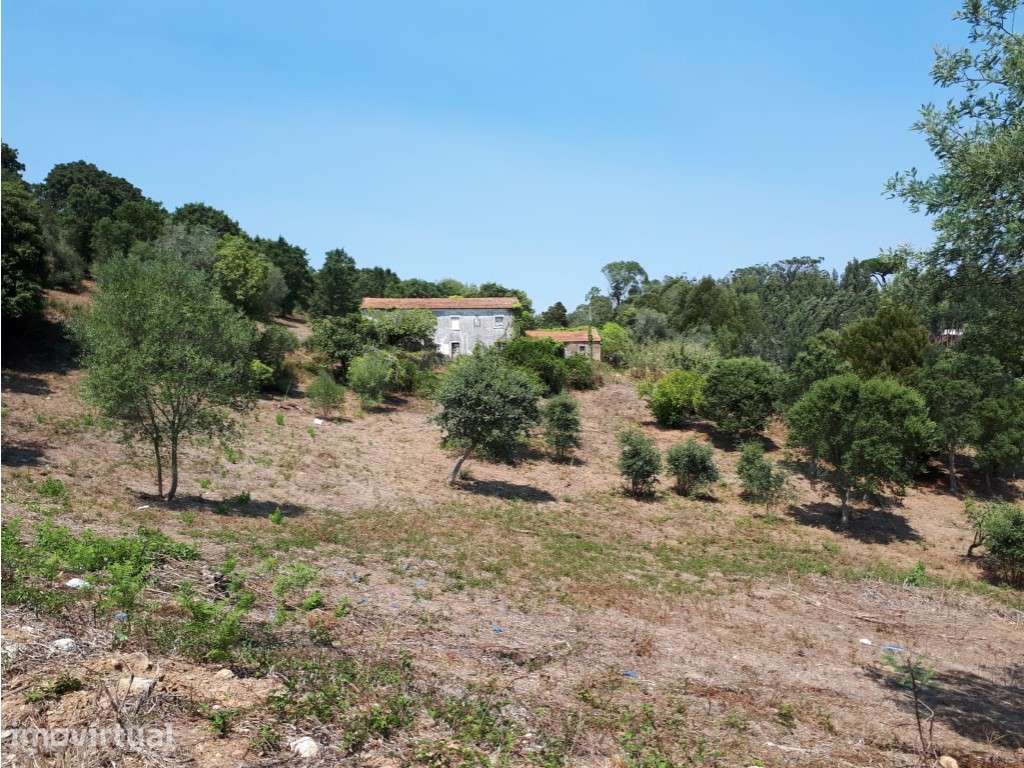Terreno para Venda em Sintra - Grande imagem: 3/60