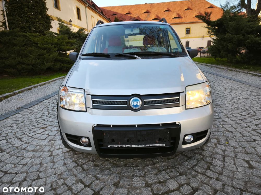Fiat Panda 1.2 4x4 - 8