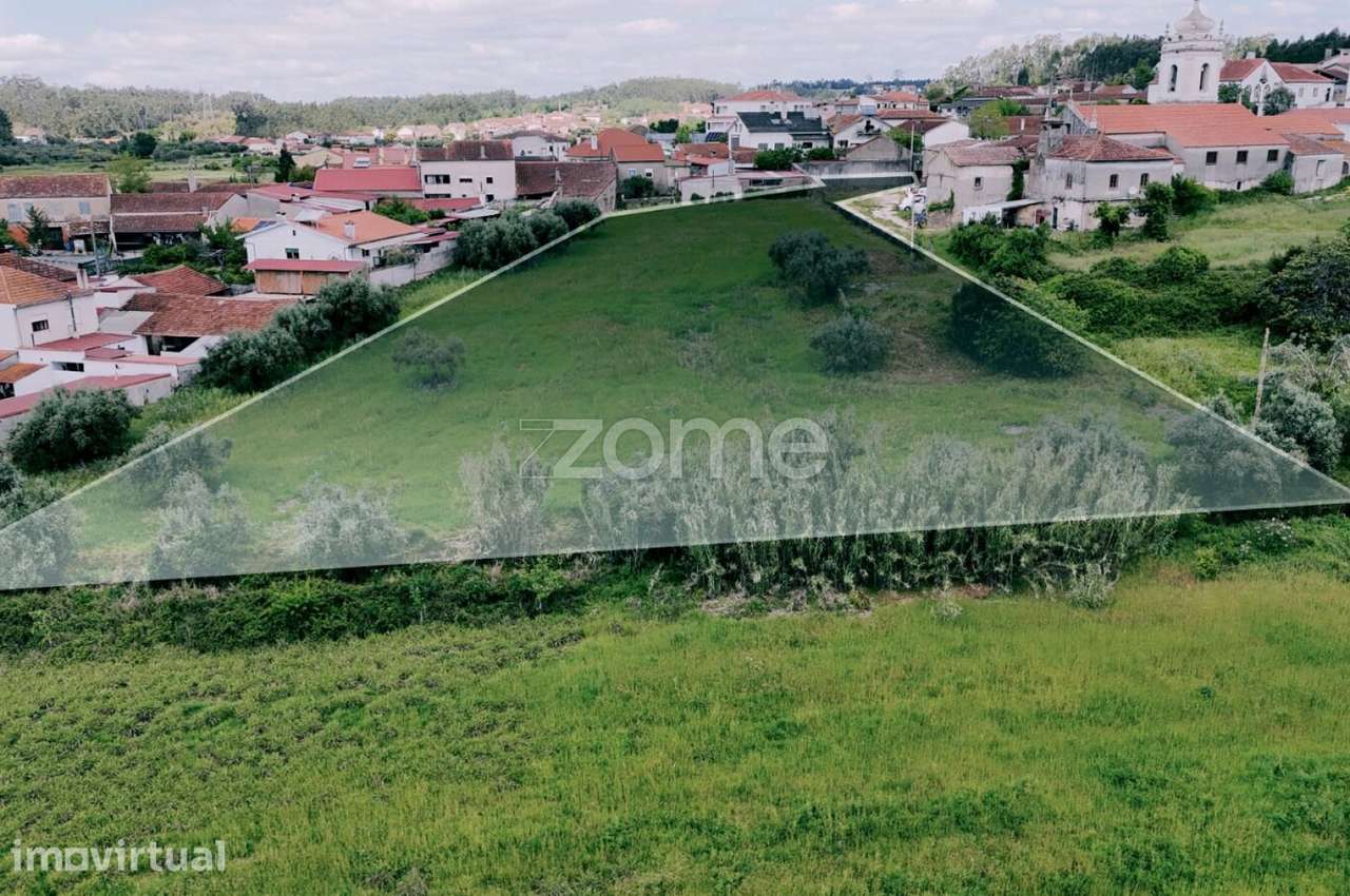 O refúgio perfeito entre a Mealhada e o Luso! - Grande imagem: 4/9
