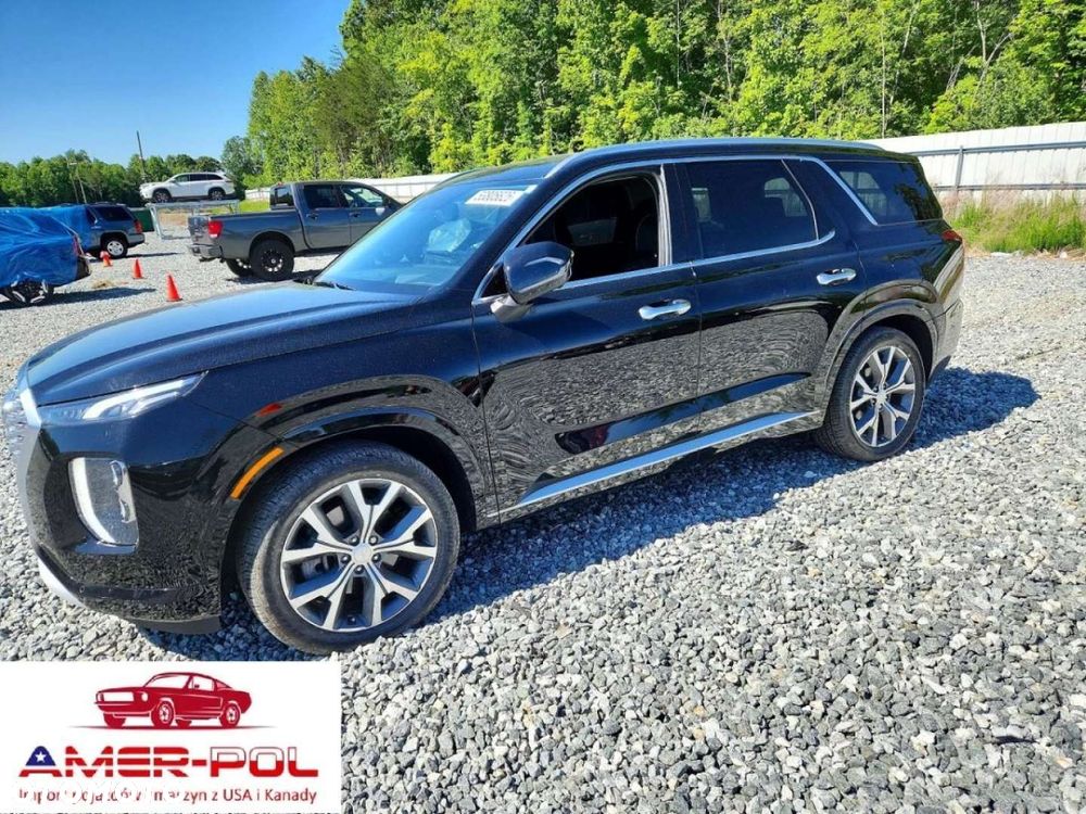 Hyundai Palisade - 2