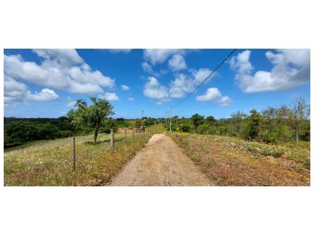 HERDADE (19ha) - Grande imagem: 3/15