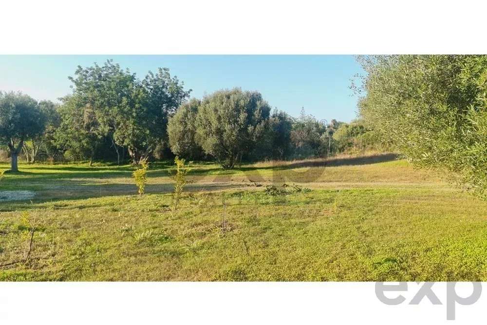 Terreno construtível com ruína e com um projeto aprovado - Grande imagem: 3/13