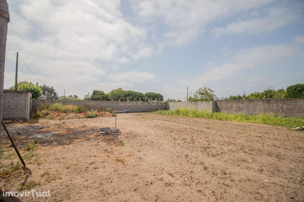 Terreno Caniceira, Tocha - Grande imagem: 5/5