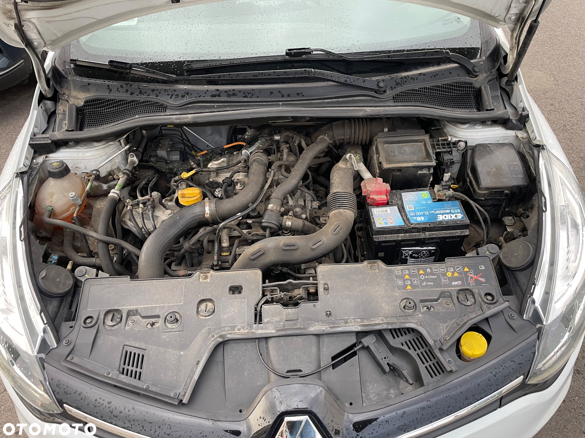 Renault Clio - 22