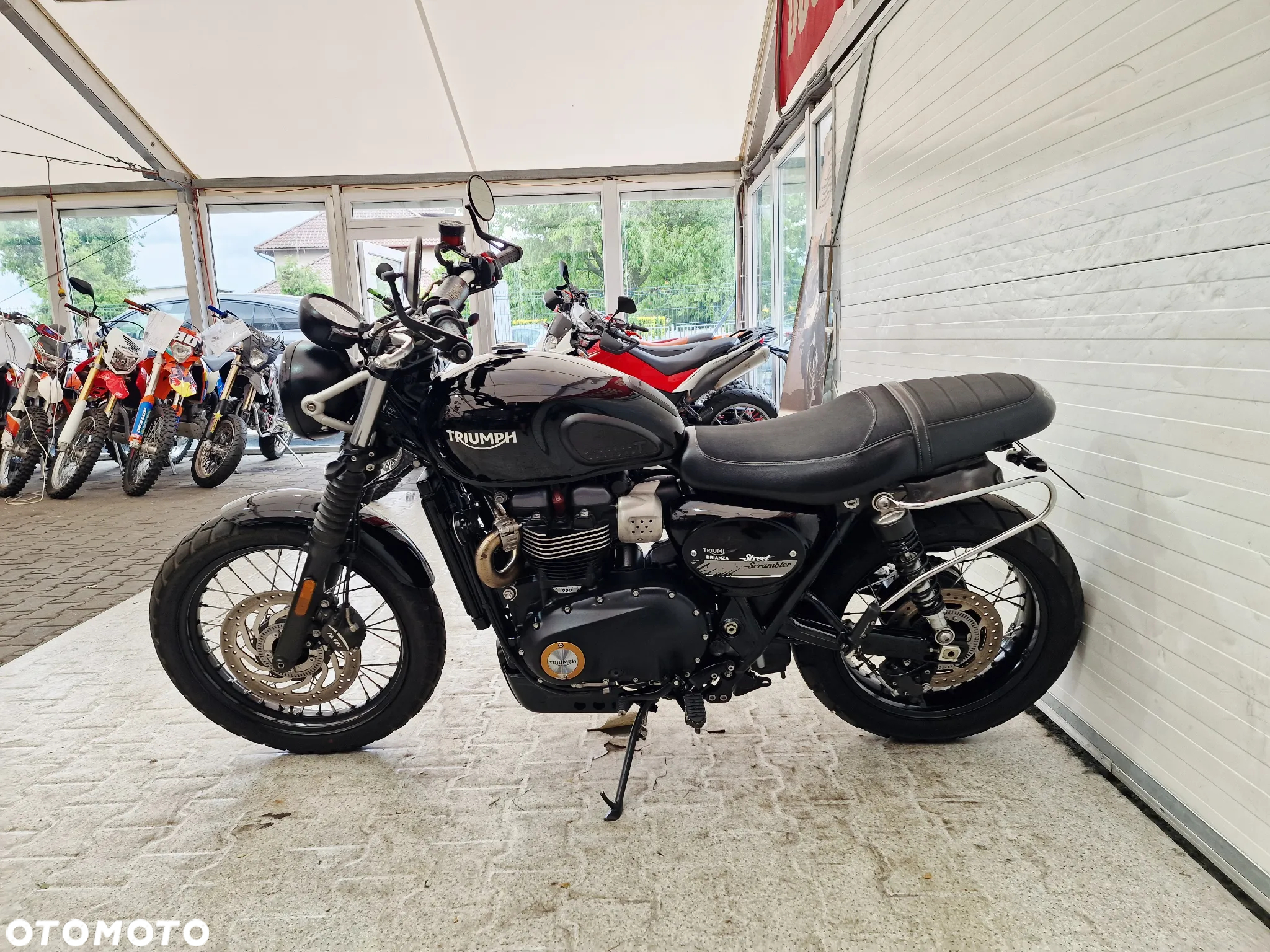 Triumph Scrambler - 21