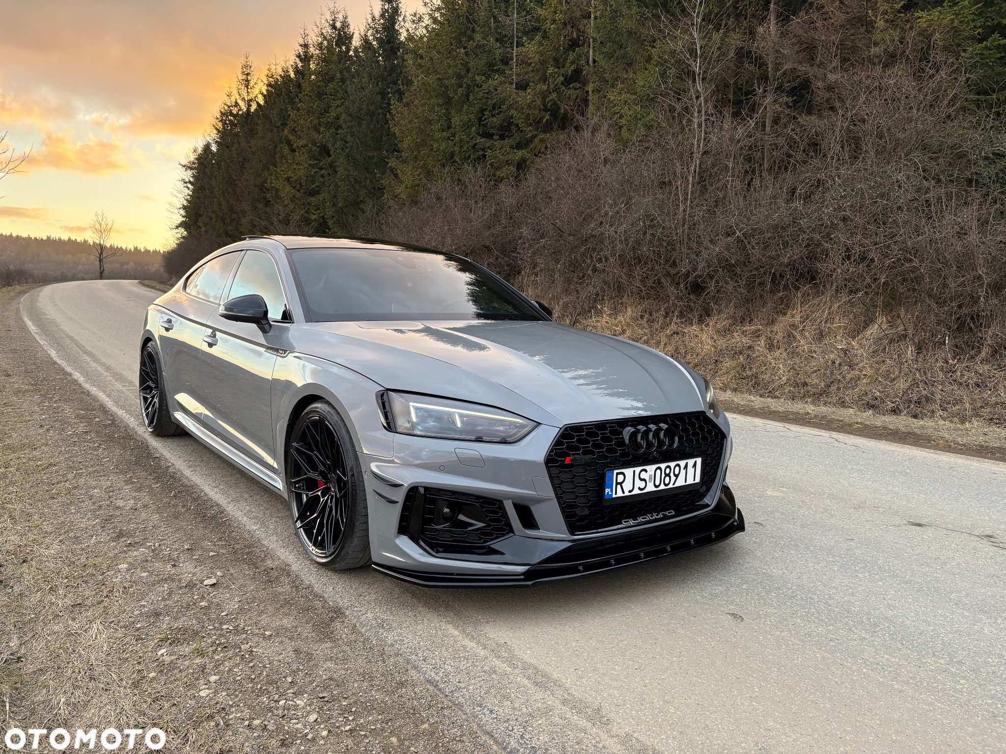 Audi RS5 Sportback 2.9 TFSI quattro tiptronic - 2