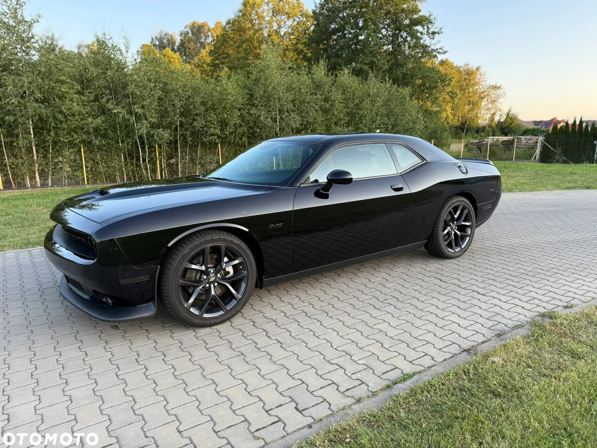 Dodge Challenger - 12