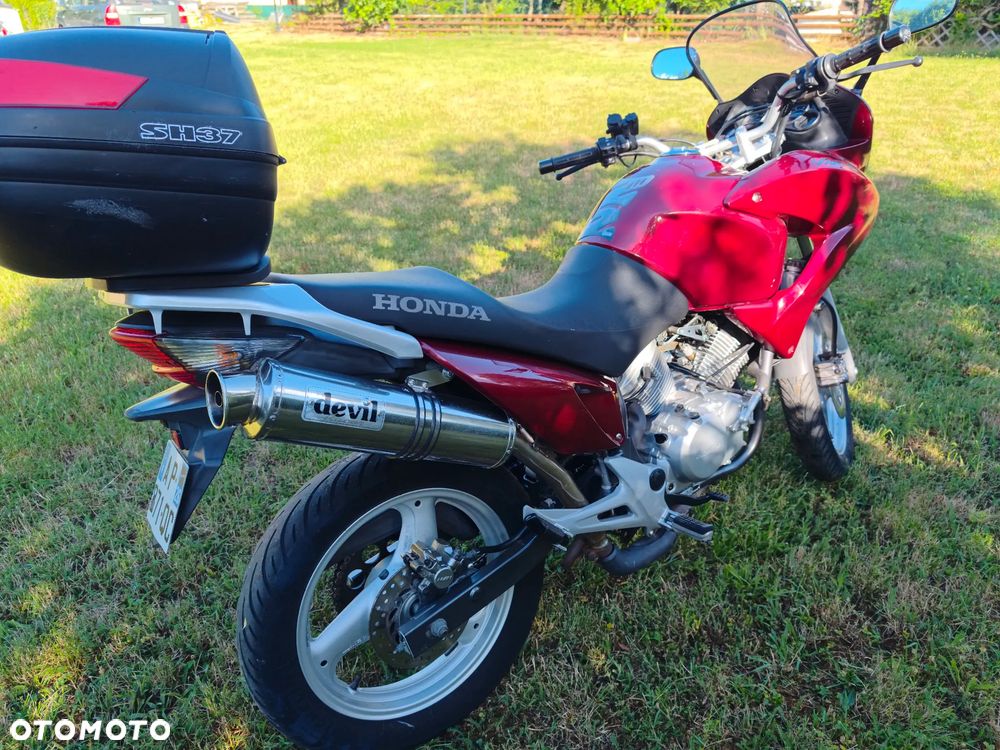 Honda Varadero - 5