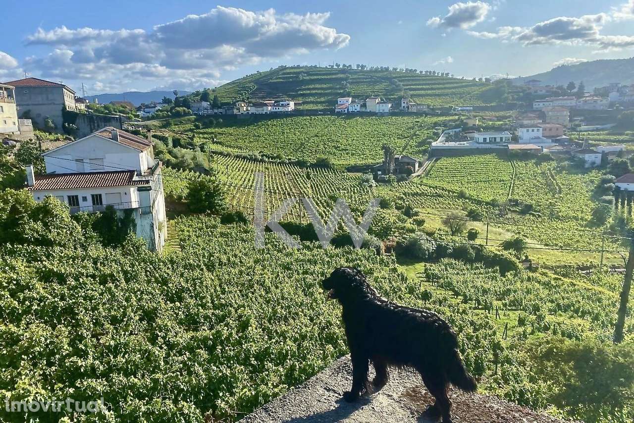 Quinta da Aveleira – Douro – Santa Marta de Penaguião - Grande imagem: 5/35