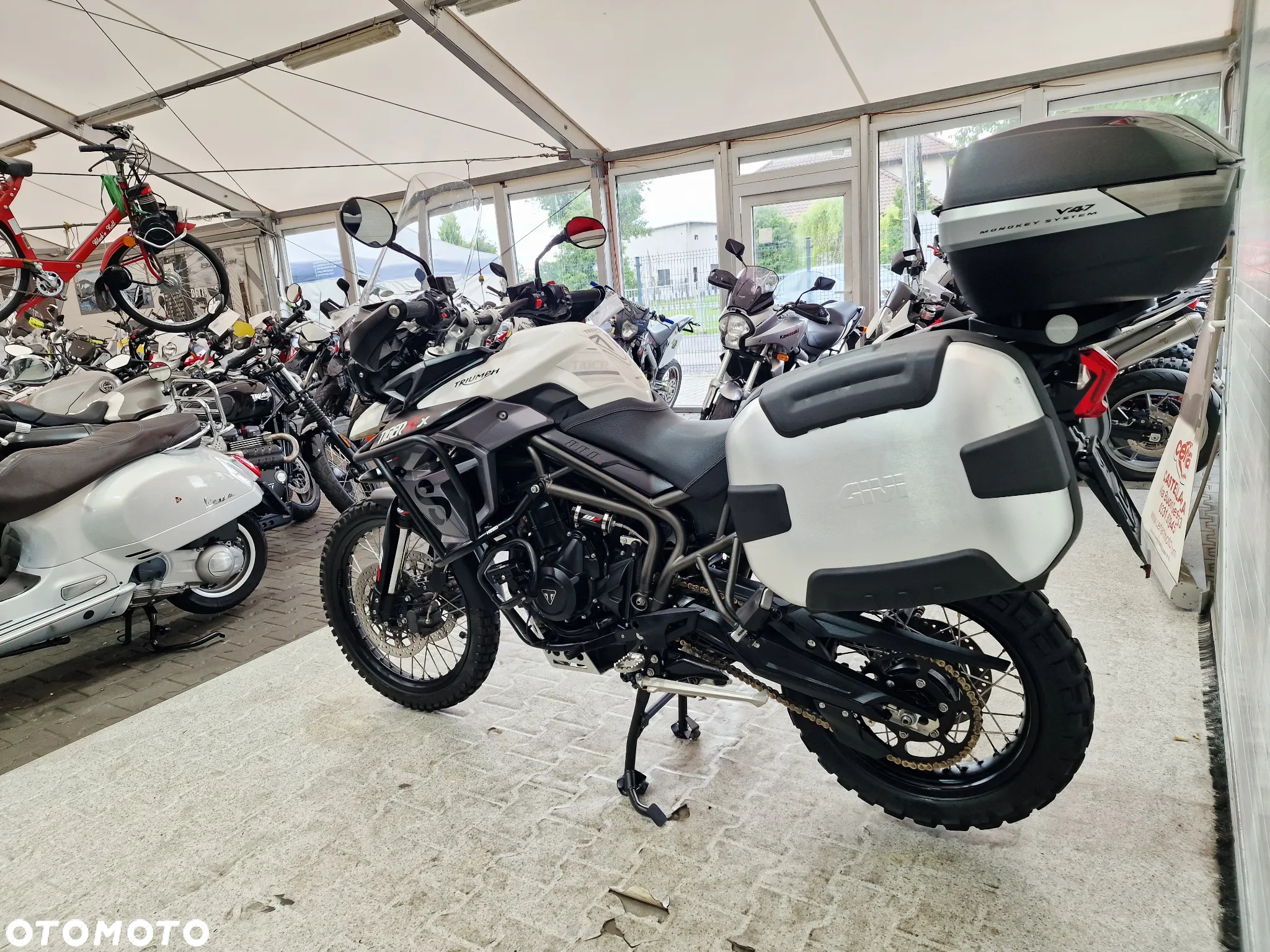 Triumph Tiger - 17
