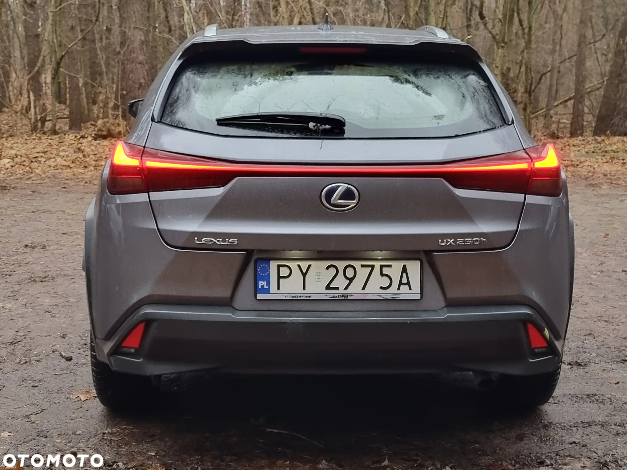 Lexus UX - 6