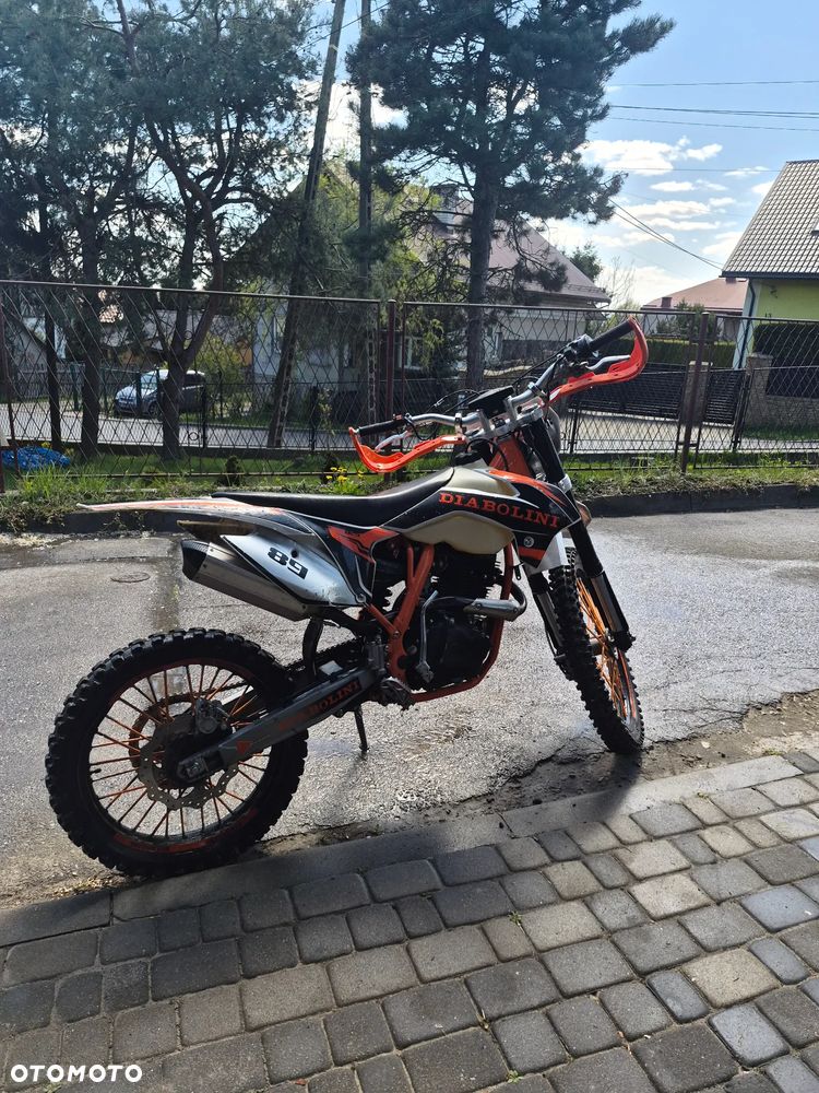 Diabolini Inny - 1