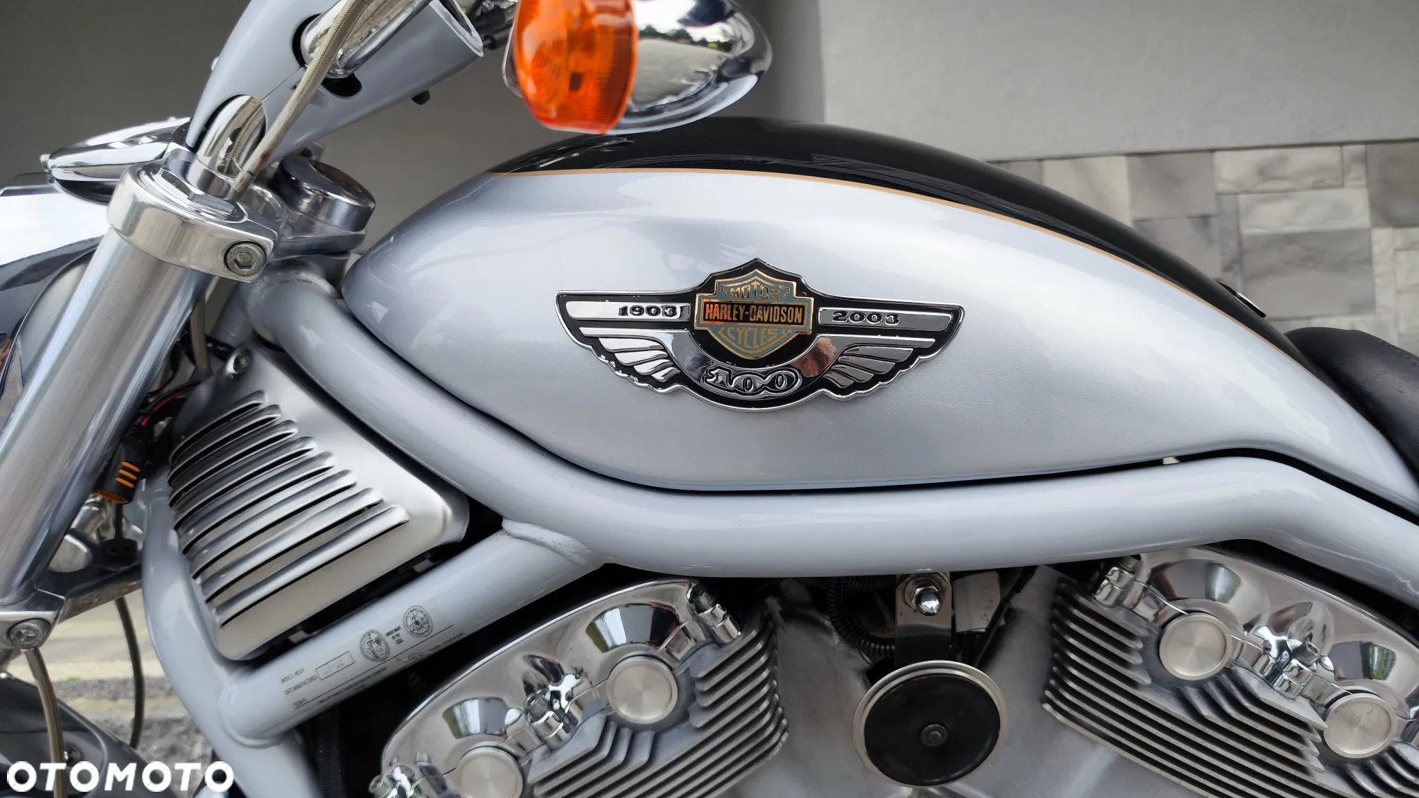 Harley-Davidson Softail V-Rod - 11