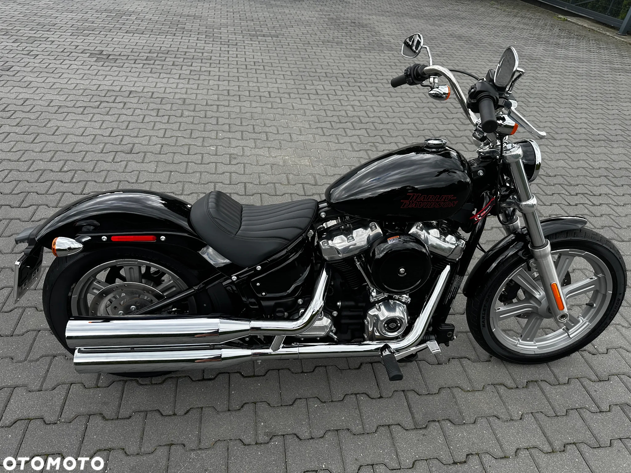 Harley-Davidson Softail Standard - 3
