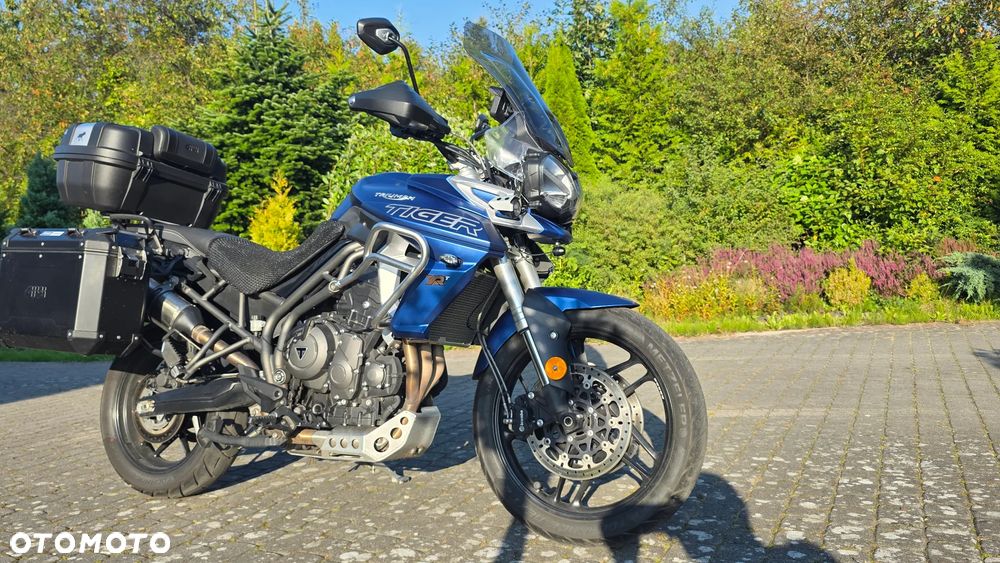 Triumph Tiger - 2
