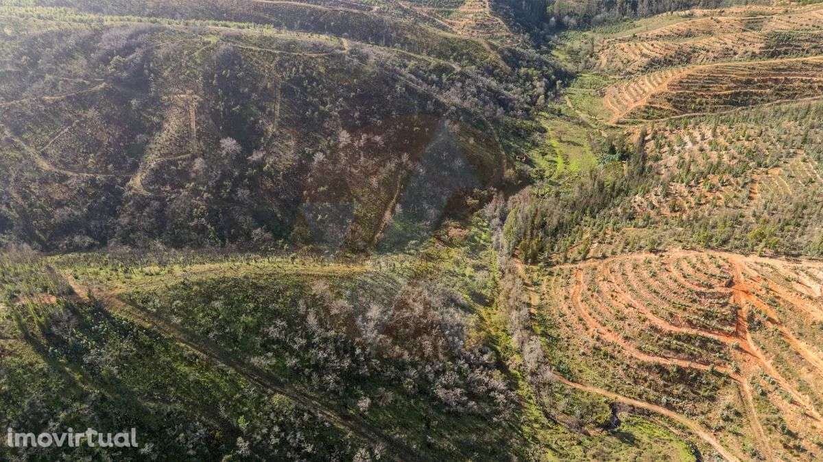 PROPRIEDADE RURAL COM POTÊNCIAL TURÍSTICO - Grande imagem: 5/12