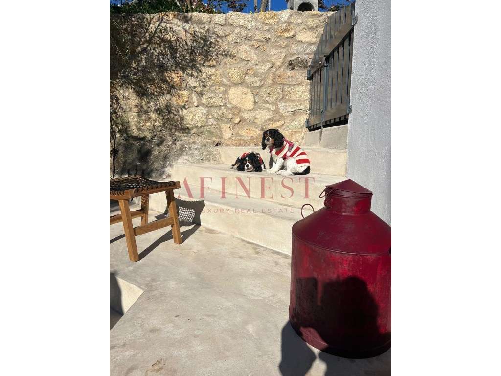 INVESTIMENTO TURÍSTICO ÚNICO EM MARVÃO PROPRIEDADE COM AL E GRANDE ... - Grande imagem: 4/38