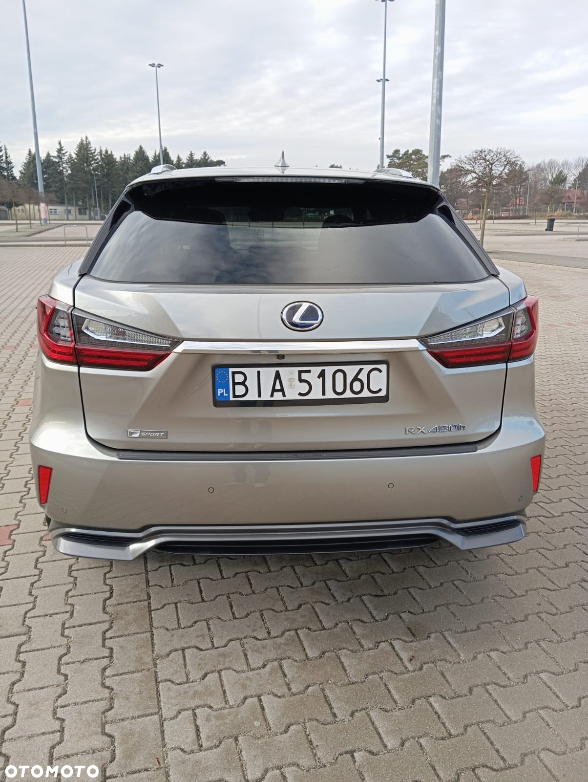 Lexus RX 450h Elite - 7