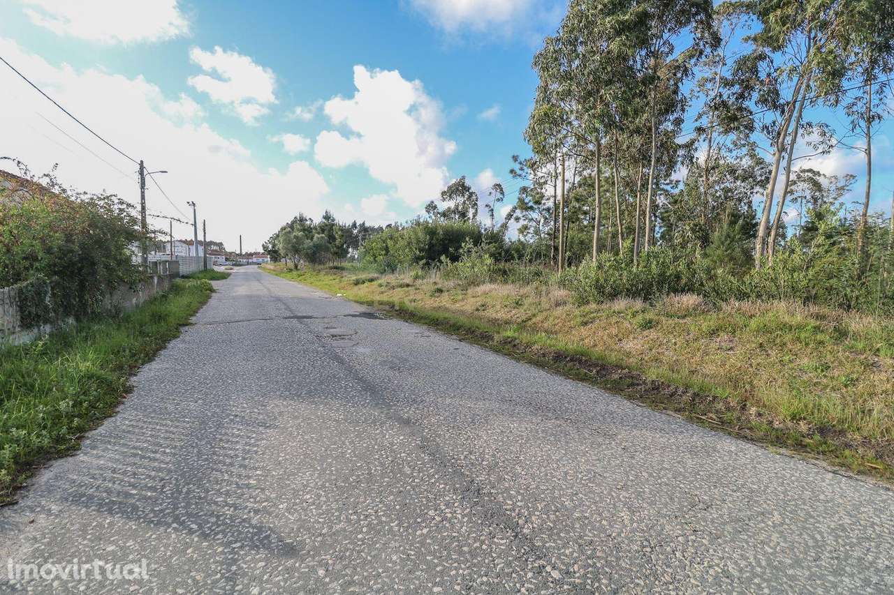 Terreno Rústico em Pombal com Licença de Construção - Grande imagem: 3/7