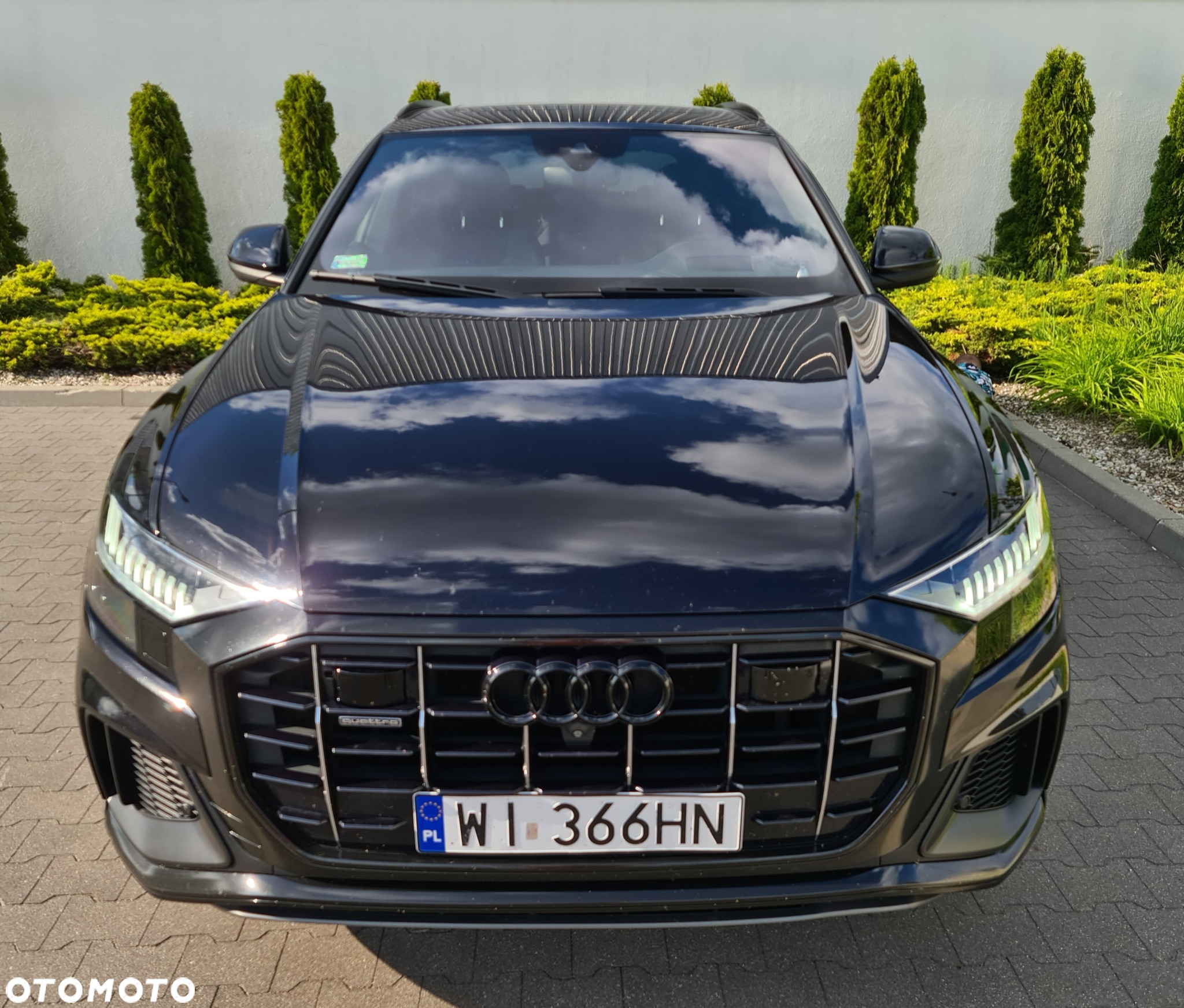 Audi Q8 - 4