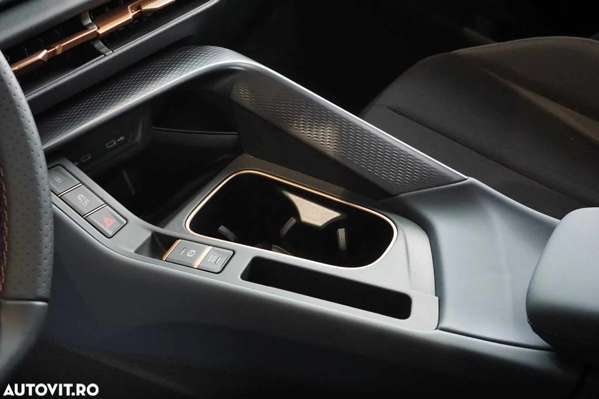 Cupra Terramar - 18
