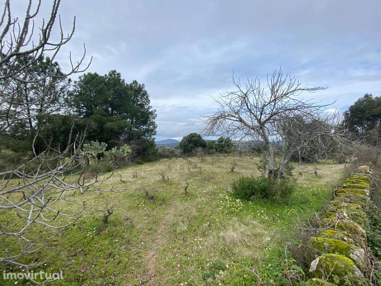 Quintinha - Grande imagem: 5/21