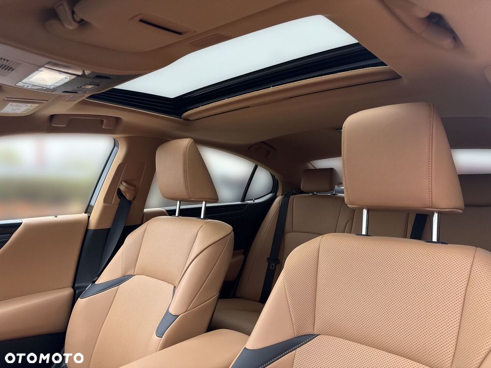Lexus ES 300h Business Edition - 12