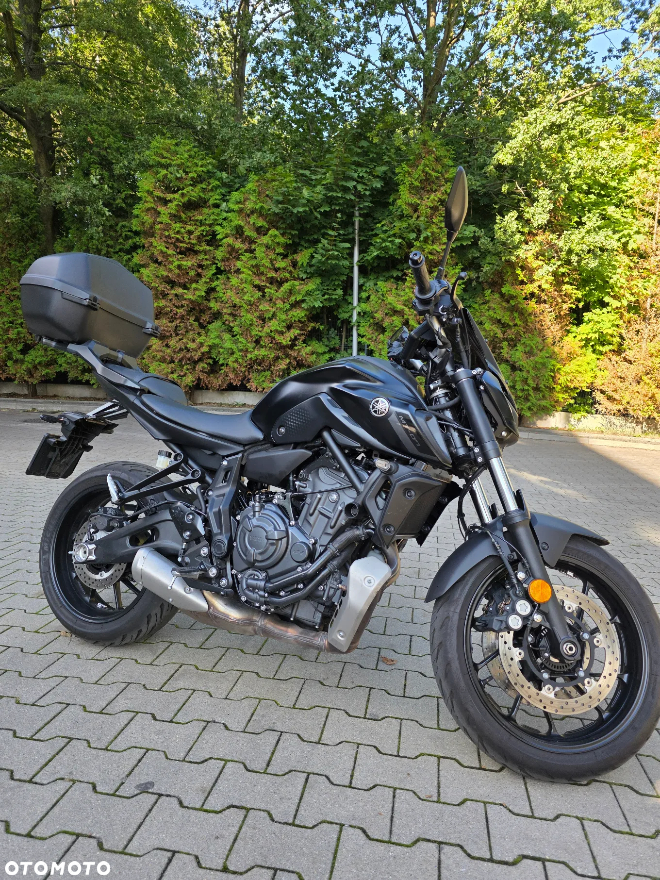 Yamaha MT - 12