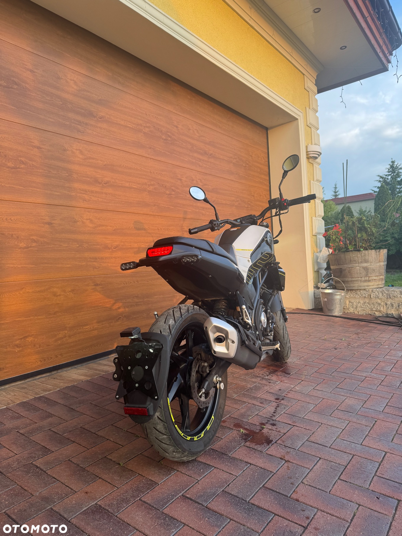 Benelli Leoncino - 2