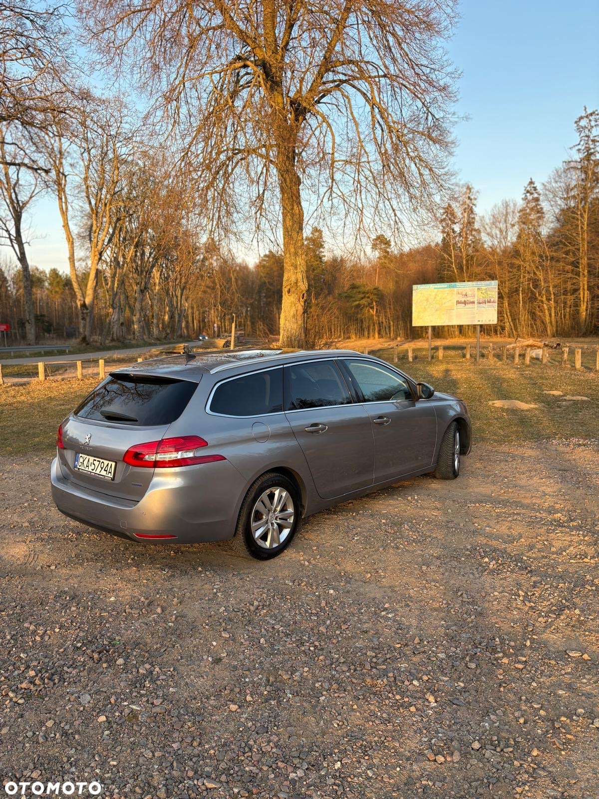 Peugeot 308 SW 1.6 BlueHDi Active S&S - 3