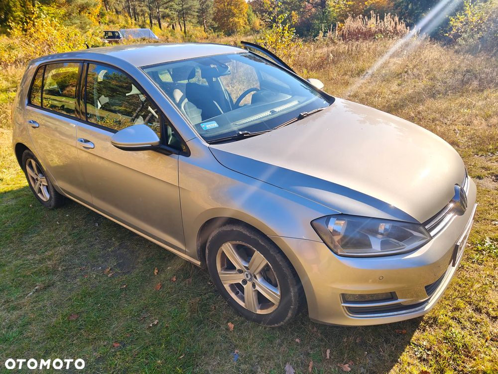 Volkswagen Golf - 12