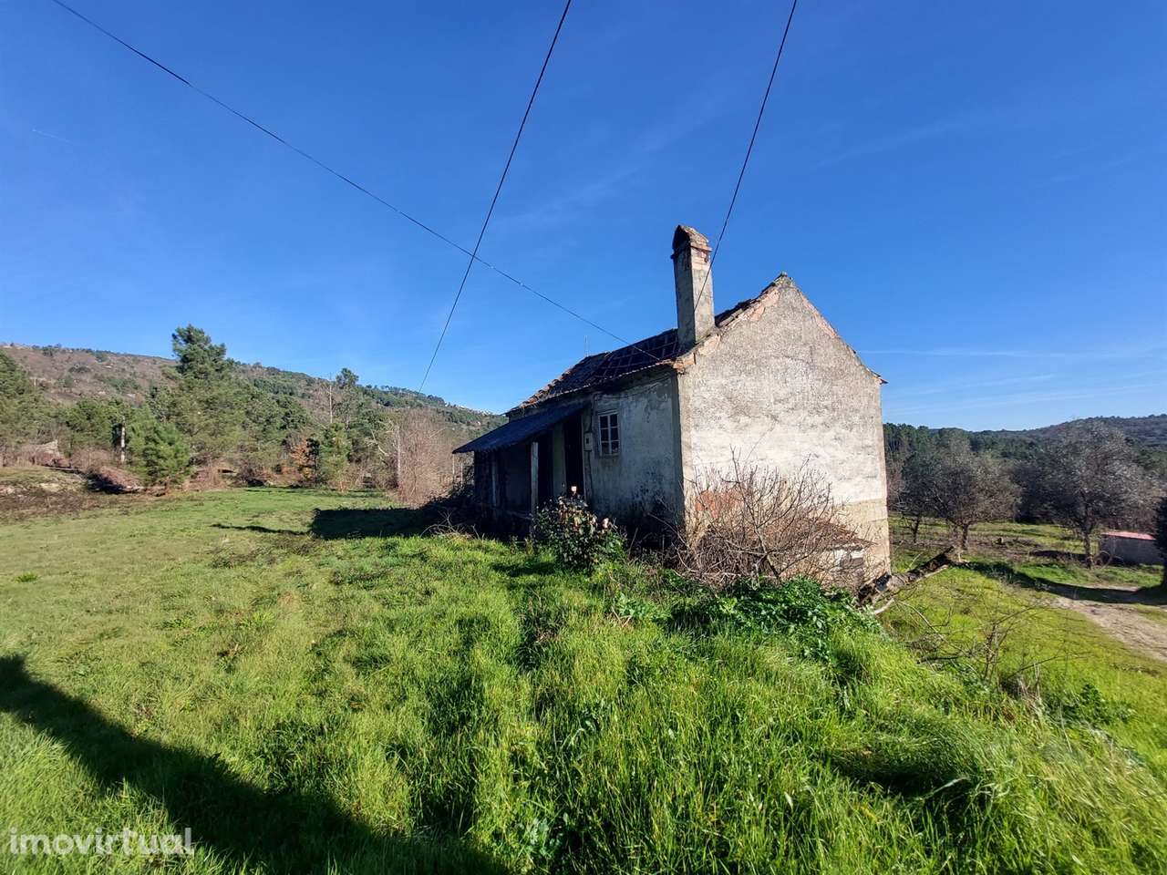 Quinta  Venda em Fornos de Algodres,Fornos de Algodres - Grande imagem: 4/10