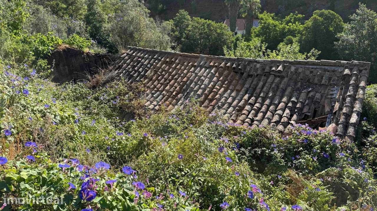 Oportunidade Única na Serra de Monchique! - Grande imagem: 4/15