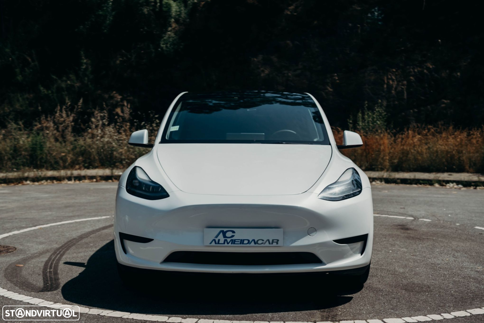 Tesla Model Y Tração Traseira - 3