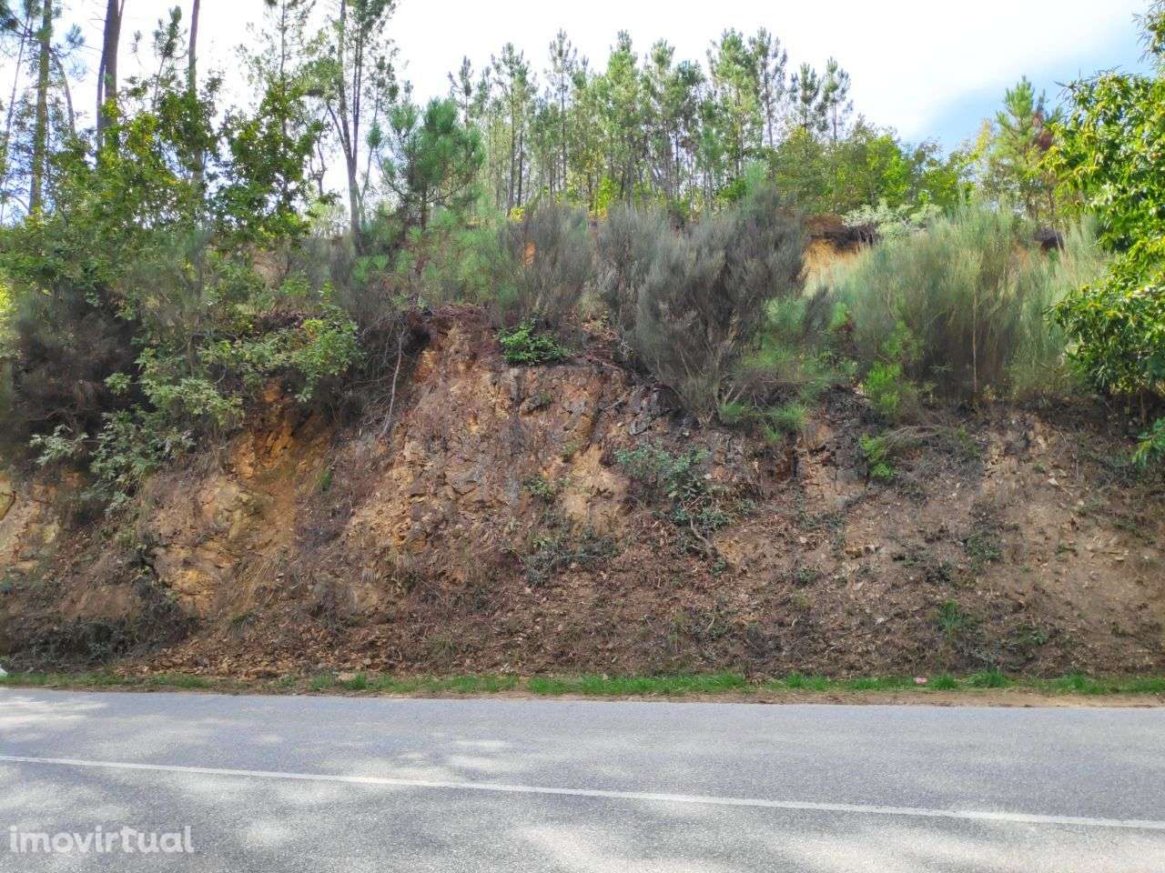 Excelente Terreno para Construção - Grande imagem: 3/8