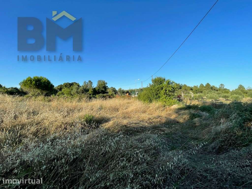 Terreno com árvores de fruto e oliveiras em Freixial do Campo! - Grande imagem: 4/13