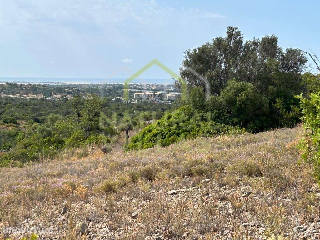 Terrenos Rústicos com Vista Mar Panorâmica, Estoi - Grande imagem: 2/3