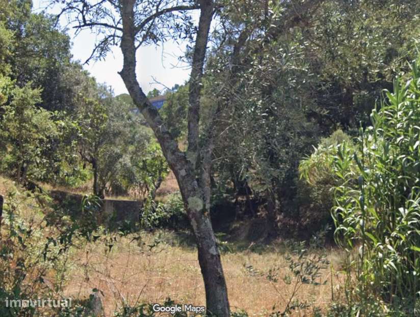 Quinta única na zona rural de Caneças - Grande imagem: 4/4