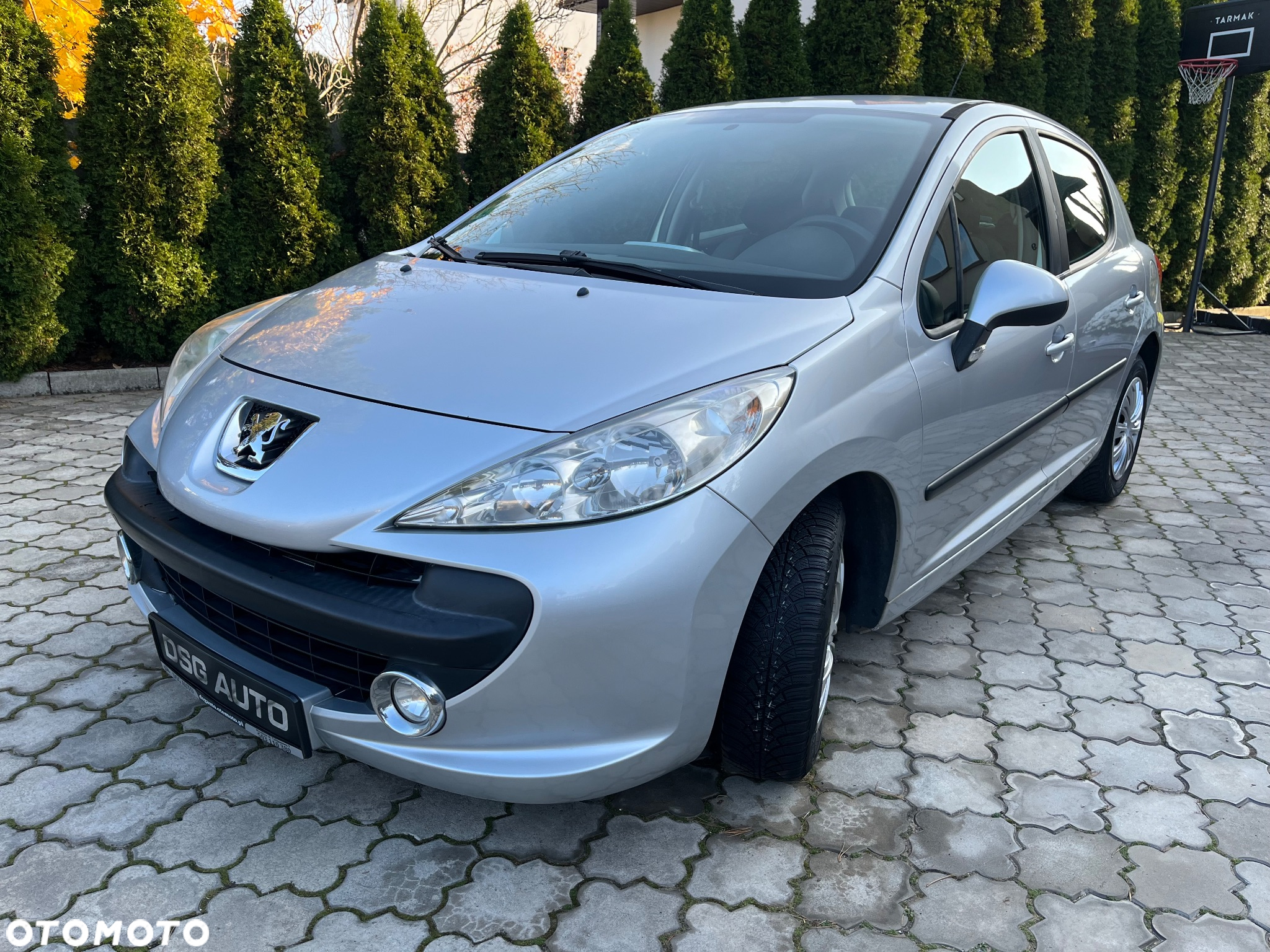 Peugeot 207 1.6 Trendy - 14