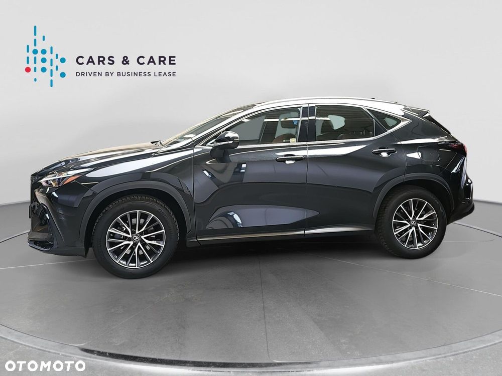 Lexus NX - 31