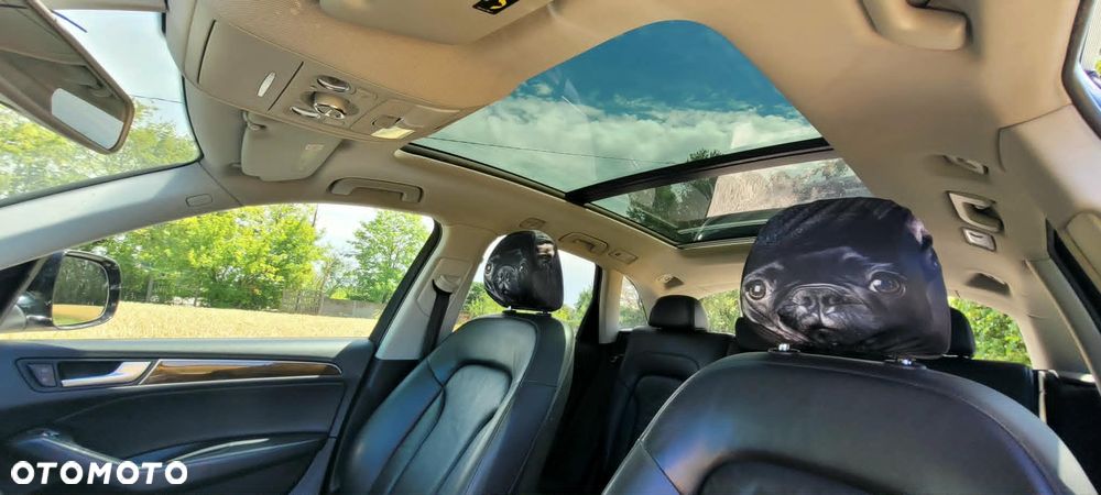 Audi Q5 - 13