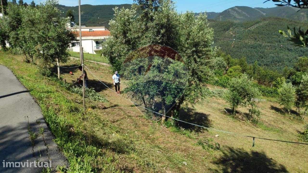 Terreno  para venda - Grande imagem: 2/33