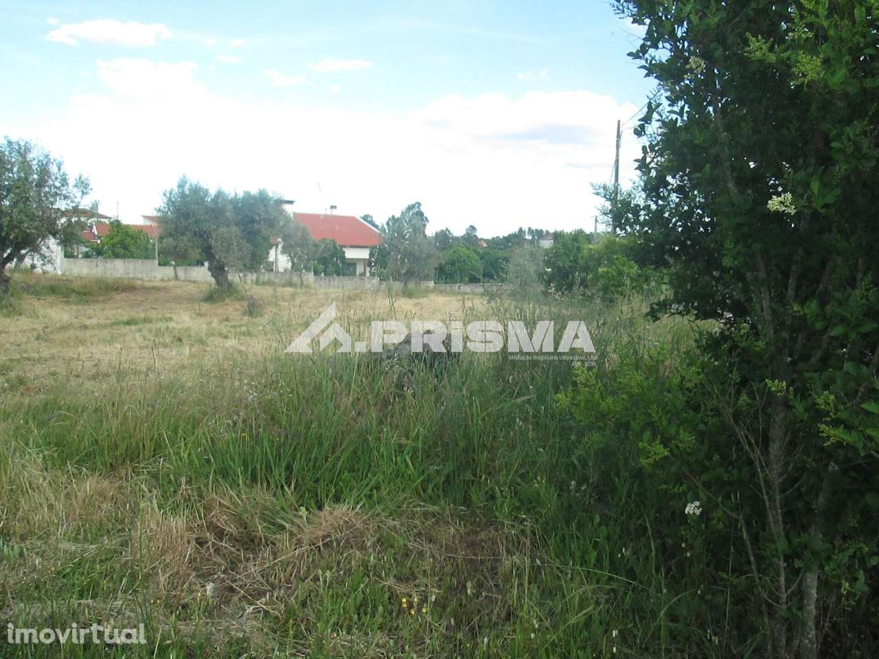 Terreno Rústico à Venda em Benquerenças - Grande imagem: 5/22