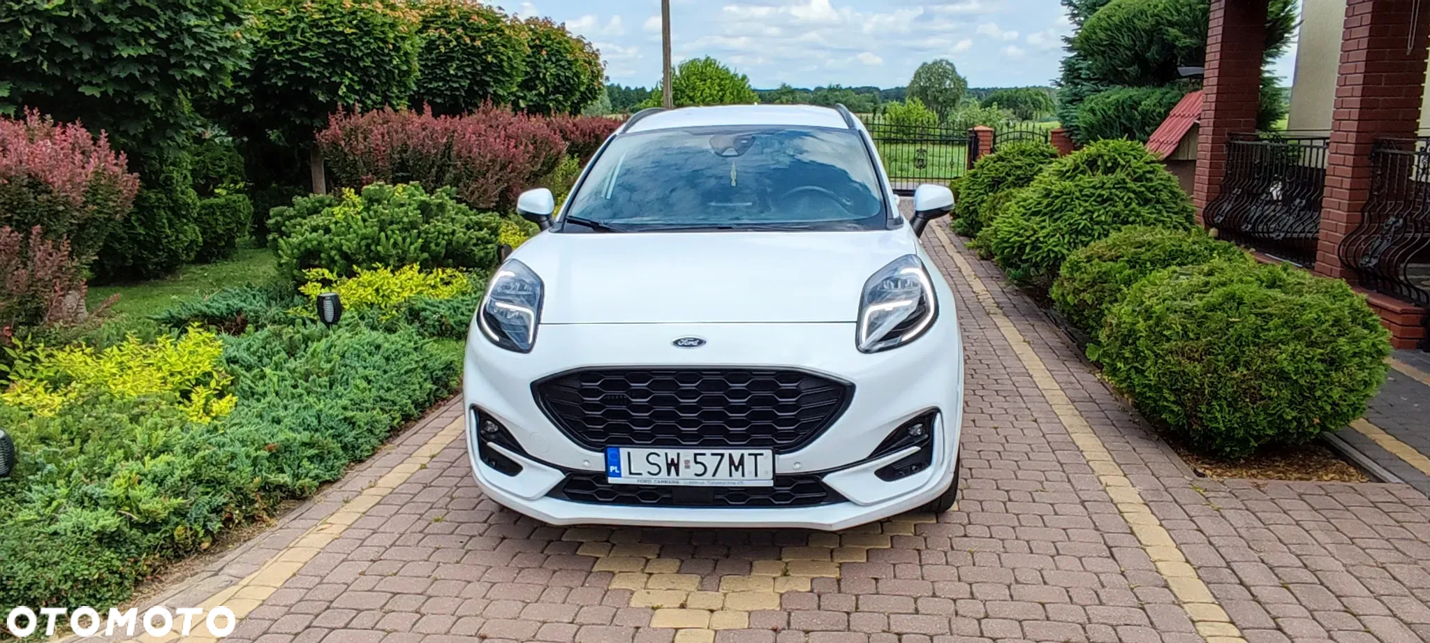 Ford Puma 1.0 EcoBoost mHEV ST-Line X Gold DCT - 5