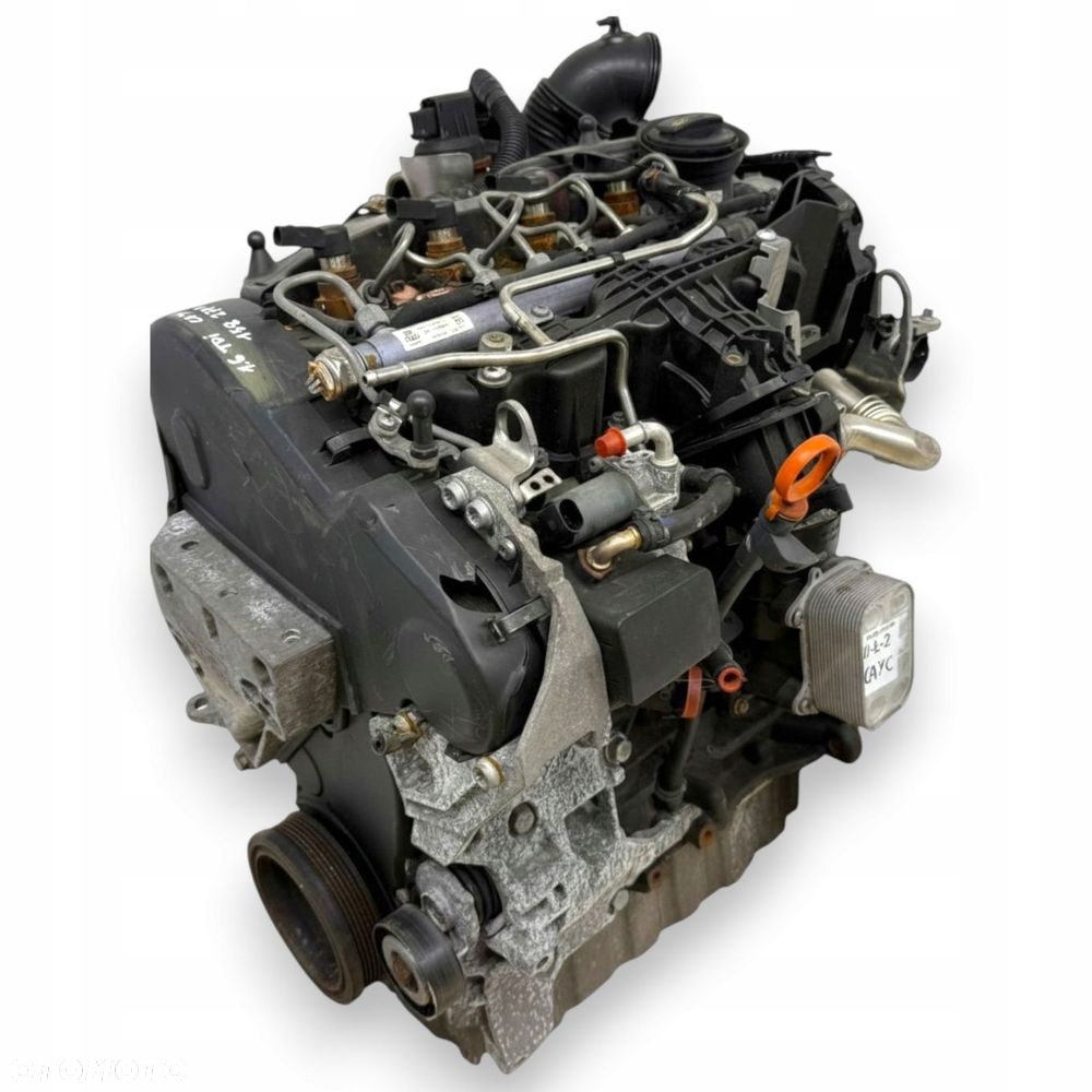 SILNIK CAY VW Golf VI Polo V Touran II 1T Passat B6 B7 1.6 TDI diesel CAYC - 8