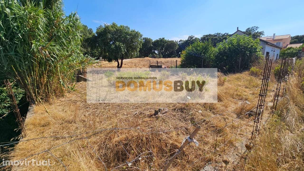 Terreno Urbano - Penalva- Barreiro - Grande imagem: 2/3