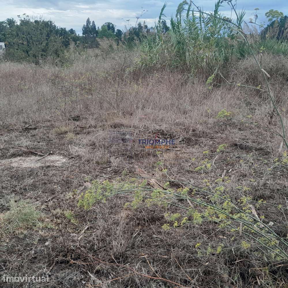 Terreno Urbano área 5.605 M² Amor, Leiria - Grande imagem: 4/13