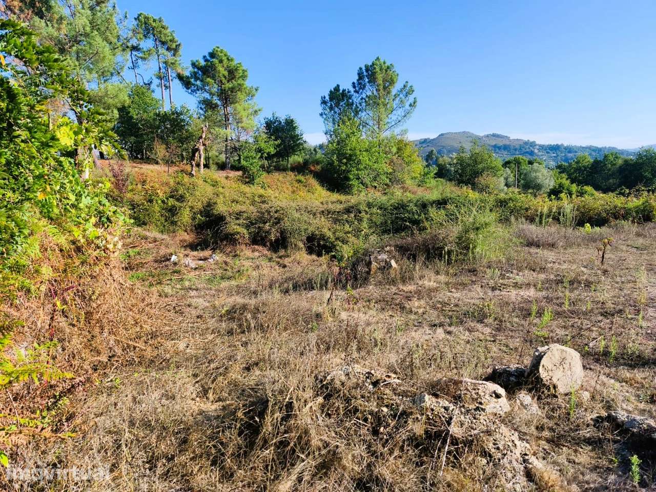 TERRENO 3.750m² - Grande imagem: 4/10